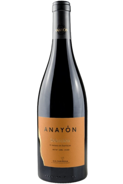 Anayón Selección